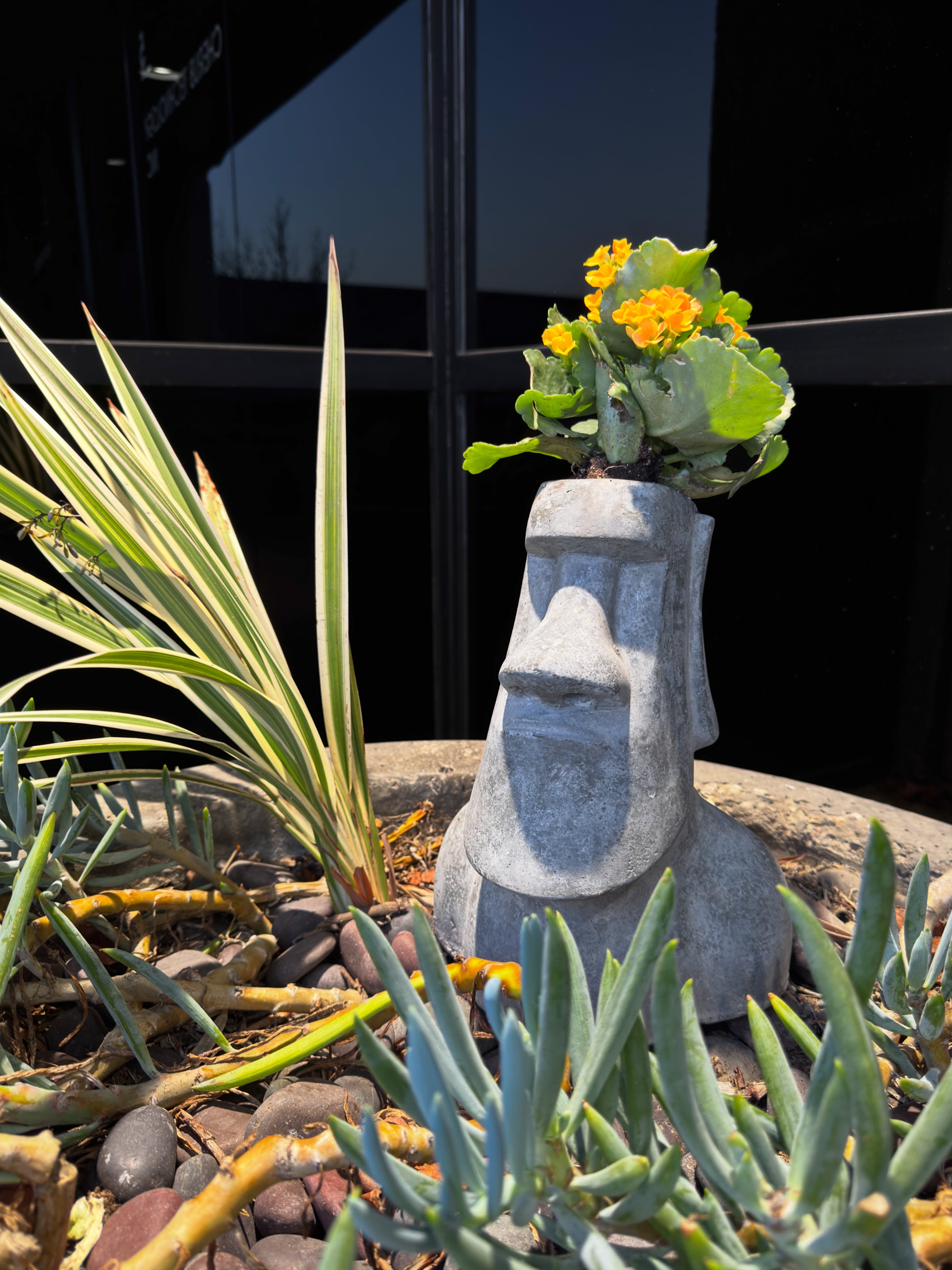 Decorative moai sculpture with a plant on top, surrounded by other plants and rocks.